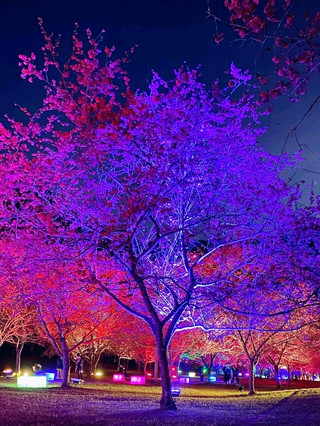 #值得還是不值得  

聚焦南投的明星景點：