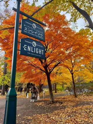 Autumn is the most comfortable season for a road trip in Hokkaido, Japan.