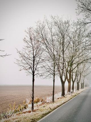 미국 뉴욕 캐츠킬 카터스킬 폭포, 이끼 가득한 숲과 협곡 여행기