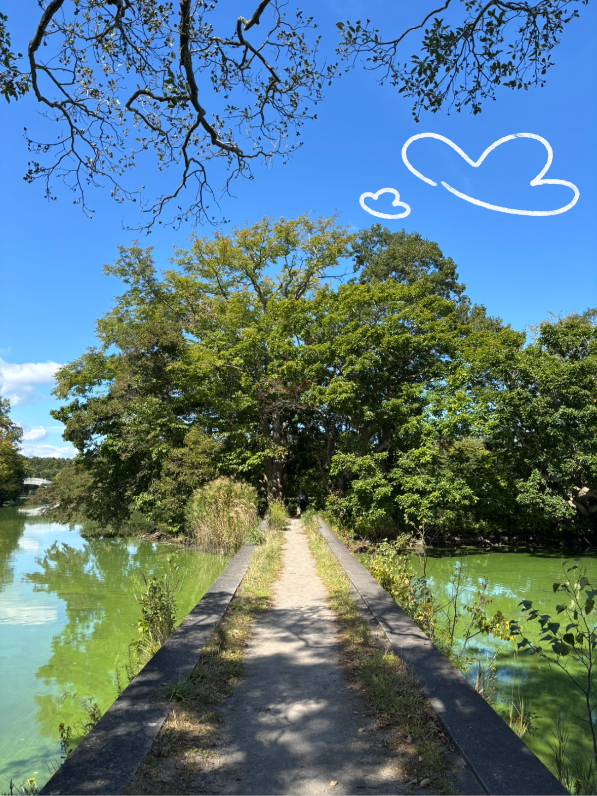 A Peaceful Stroll Through Onuma Quasi-National Park.