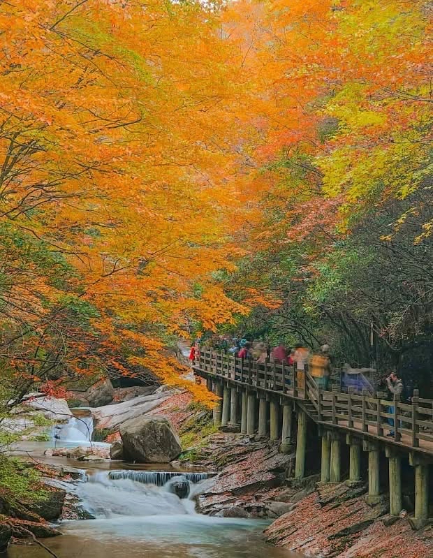 Chasing Crimson and Gold: Unlocking the Autumn Magic of Guangwu Mountain