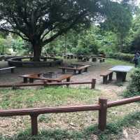 香港仔郊野公園係一個老少咸宜的地方