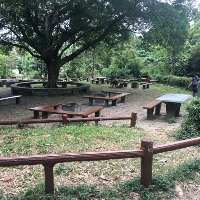 香港仔郊野公園係一個老少咸宜的地方