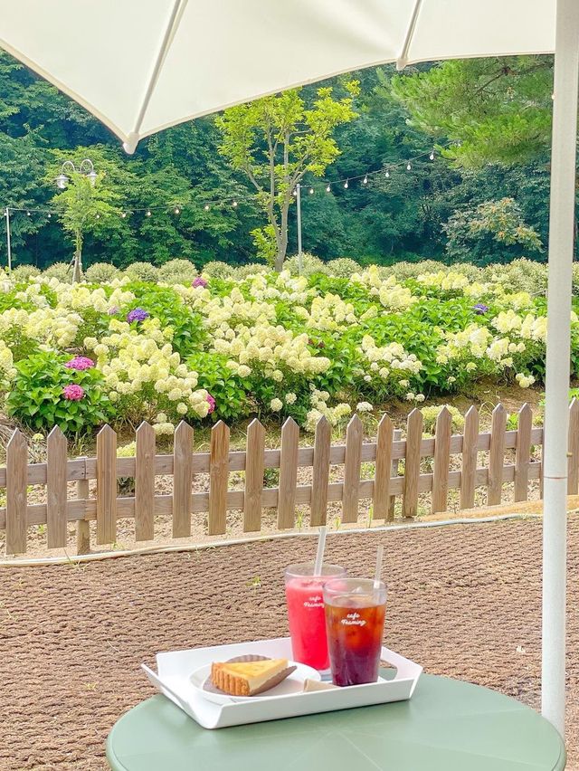 ์ด์ ๋ ์ ๋ฝ์๊ตญ์ ๊ณ์ ๐ ์ด์ ๋ ์ ๋ฝ์๊ตญ์ ๊ณ์ ๐