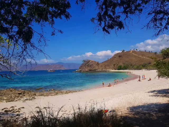 Pink sand Beach 🏖 near Komodo island 🏝 