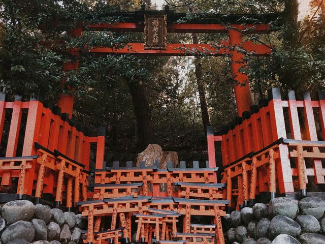 ⛩️MEMORIES OF KYOTO: THE CITY OF ZEN