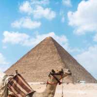 Pyramids & Pastries: Unveiling Cairo