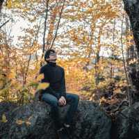 Artist Bluff Trail