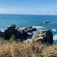 【福井県🇯🇵東尋坊】断崖絶壁がそそり立つ‼️福井の観光名所