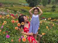 Must see in Dalat Vietnam