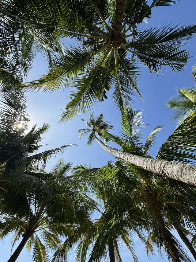Вьетнам в сердечке💔 Муйне- самое душевное место. Вьетнам в сердечке💔 Муйне- самое душевное место.