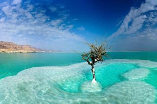 [A Thousand and One Nights in the Middle East's Hidden Gem] Jordan: The Ultimate Time-Traveling Adventure - A Guide to Deserts, Ancient Cities, and Floating in the Dead Sea.