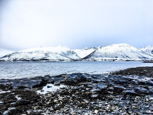 Nordic Lights and Fjord Nights