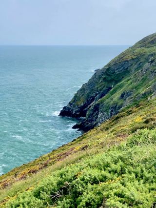 Howth Cliff Walk 🌸🌿🌊
