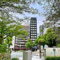 🌸名古屋燈光圖書酒店Lamp Light Books Hotel🌸充滿文化氣息