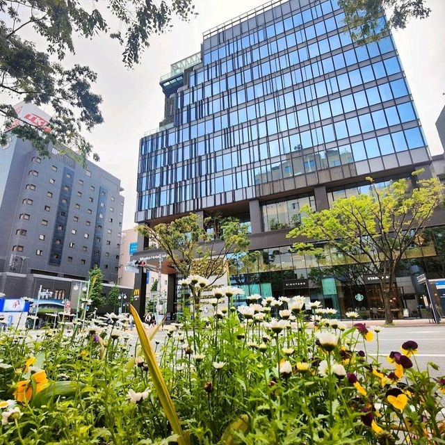 🌸博多都酒店🌸屋頂有天然溫泉