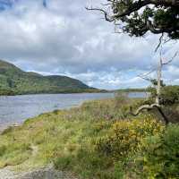Muckross Lake Loop Walk 👌