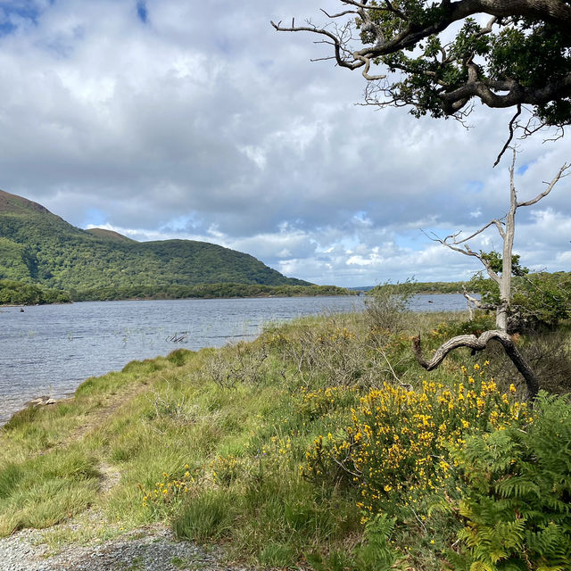 Muckross Lake Loop Walk 👌
