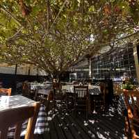 Enjoy some Greek delicacies here!