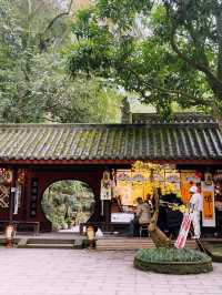 A Day of History and Wonders: Shuju Ancient Town & Leshan Giant Buddha