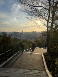 🌆🌿 Seoul from Above: N Seoul Tower & Namsan Park