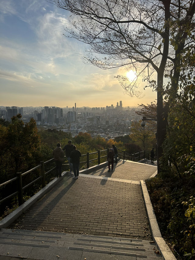 🌆🌿 Seoul from Above: N Seoul Tower & Namsan Park