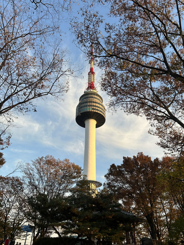 🌆🌿 Seoul from Above: N Seoul Tower & Namsan Park