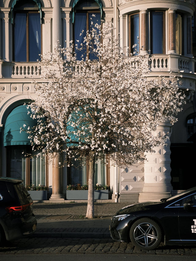One day trip in Stockholm 