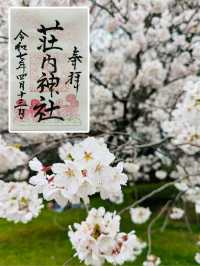 A shrine that is nicknamed by people in the Shonai area