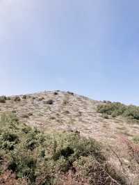 Lojena 에서