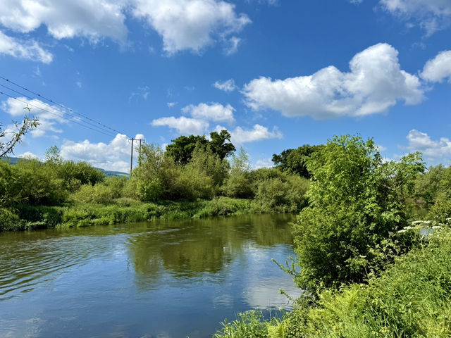 Blueway + Art & Gallery Afternoon