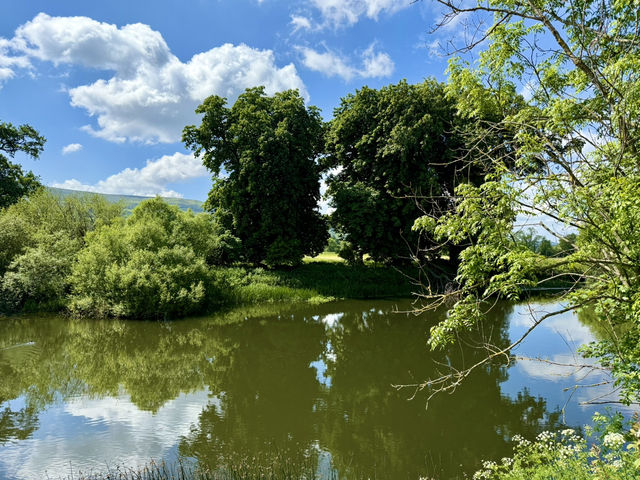 Early Blueway + West Gate Wander