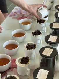 Tea tasting in Georgia 