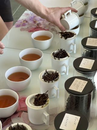 Tea tasting in Georgia 