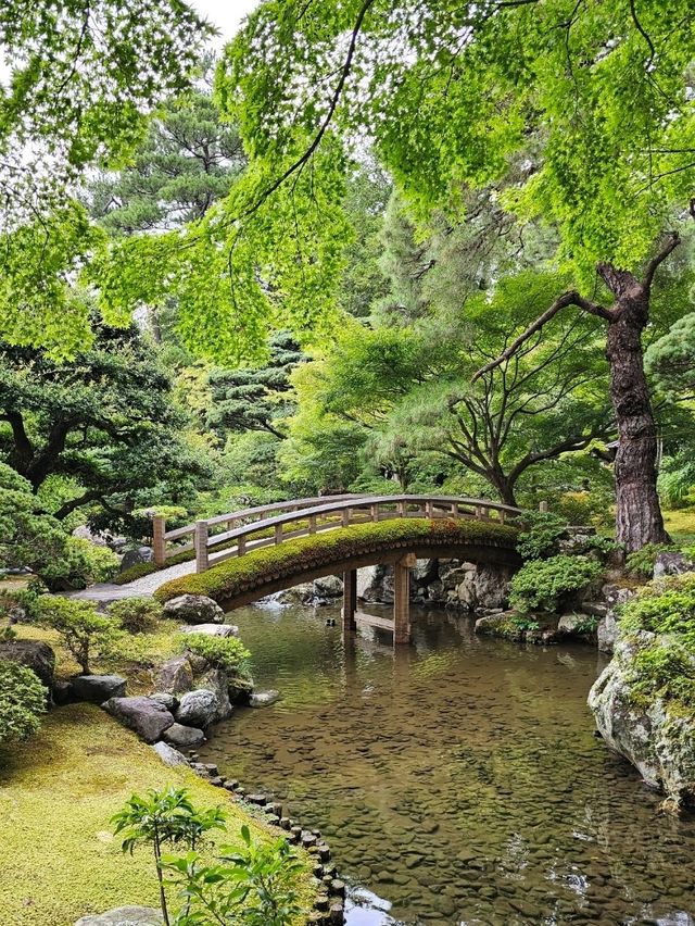 Kyoto: Where Tradition Breathes