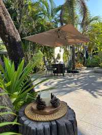 🌳🎶 Forest Café - คาเฟ่กลางป่าใจกลางเมืองเวียงจัน