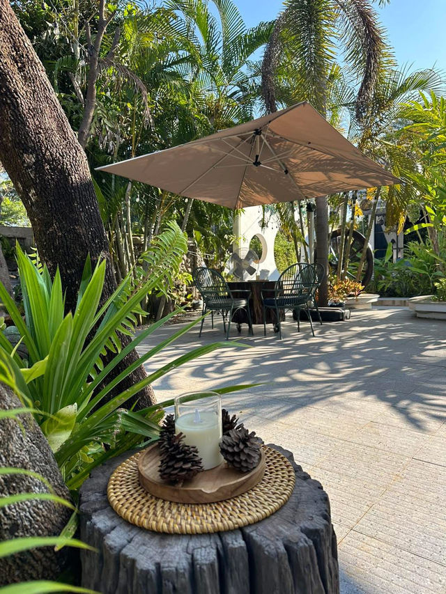 🌳🎶 Forest Café - คาเฟ่กลางป่าใจกลางเมืองเวียงจัน