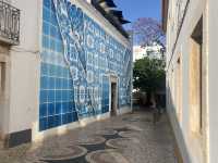 Sun-Kissed Shores & Coastal Charms: My Algarve Escape