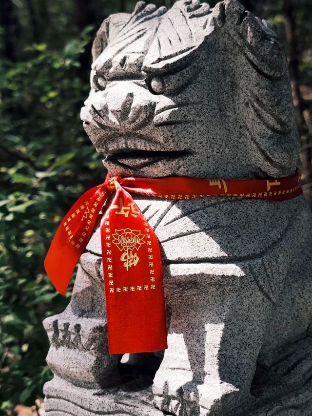 Climbing Dalian’s Dahei Mountain: A Journey Above the Sea and Sky