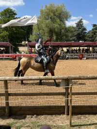 Warwick Castle Joust 