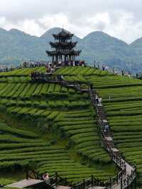 ⛰️ Mengding Mountain – The Ancient Cradle of Chinese Tea