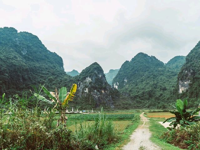 Paradise Found: Exploring Paradise Cave in Vietnam