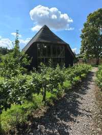 Kentish PIP, Kent England