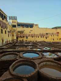 🐪 The Tanneries of Fez: A Colorful Window into Morocco’s Ancient Craft