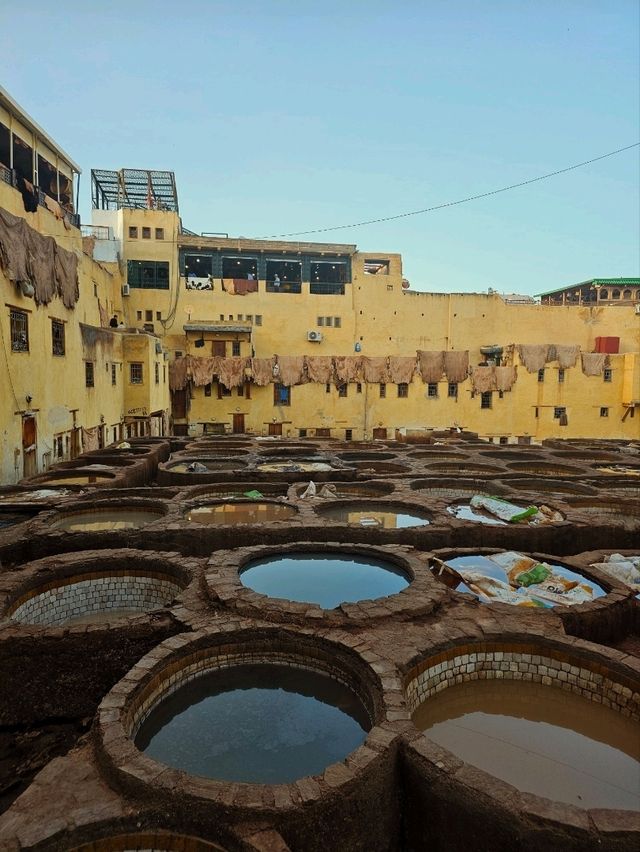 🐪 The Tanneries of Fez: A Colorful Window into Morocco’s Ancient Craft