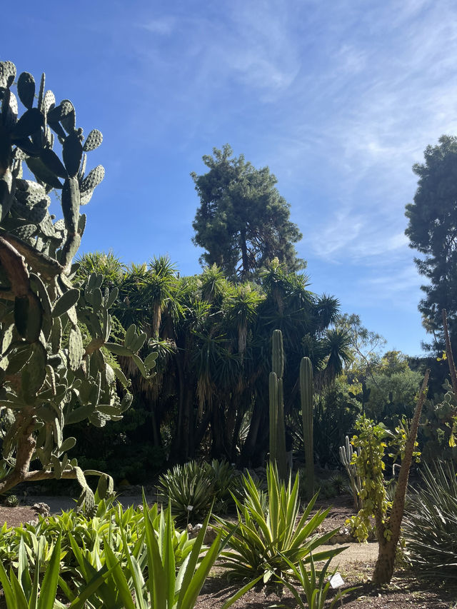 Valencia: A Playground of Architecture 🏛️✨🌉 Valencia: A Playground of Architecture 🏛️✨🌉