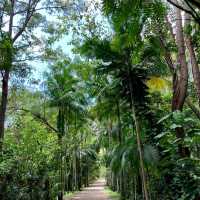 Why you should visit Florianópolis, Brazil ✨