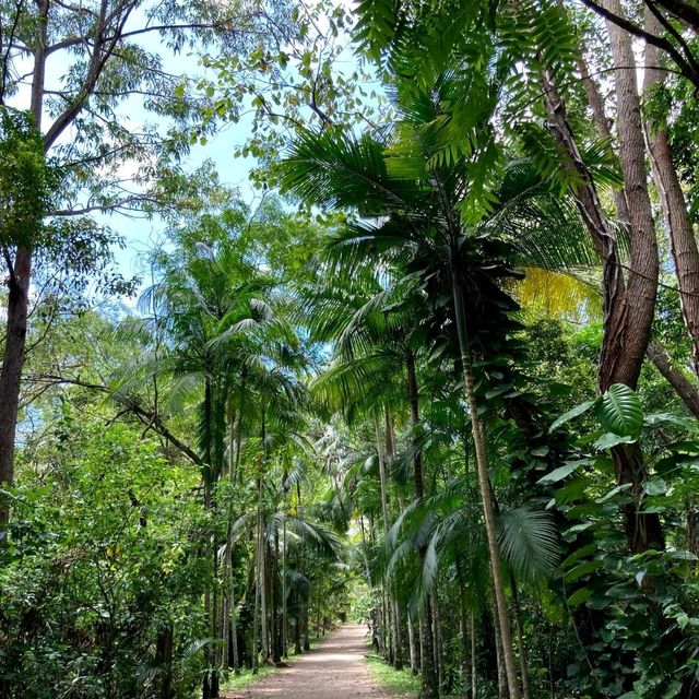 Why you should visit Florianópolis, Brazil ✨