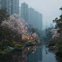 Jiangnan’s Dreamscapes: Where Water Meets Time 🌸🏯