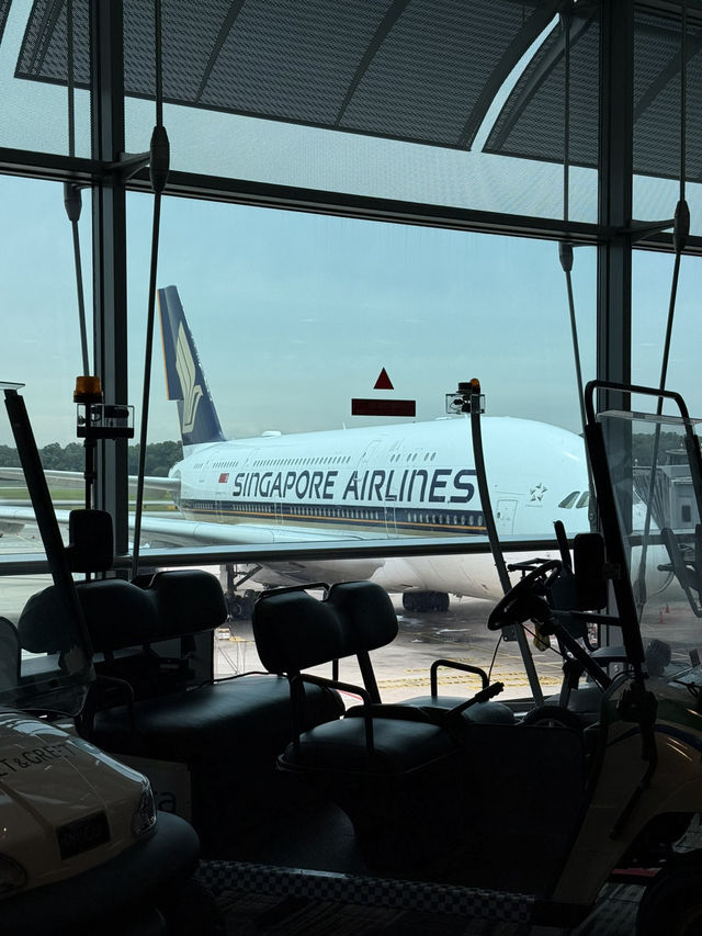 Free Singapore Stopover Program✨